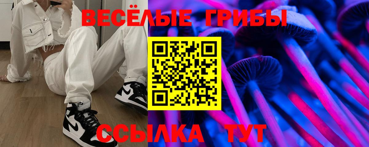 Спасск-Дальний  Псилоцибиновые грибы MAGIC MUSHROOMS  Вход с VPN  Псилоцибиновые грибы мицелий 
